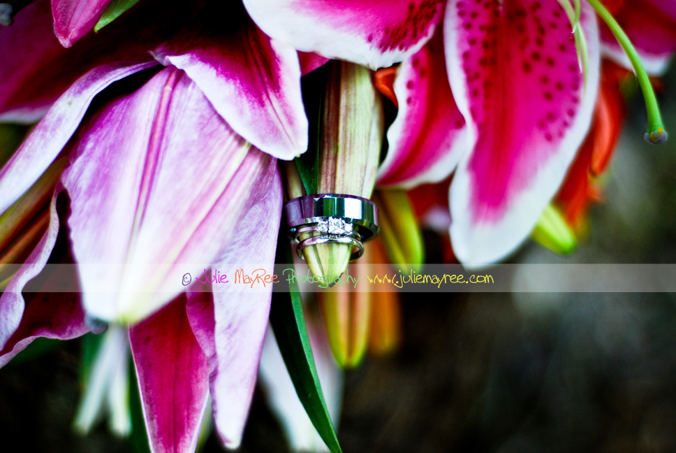 DSC_0331-Edit
