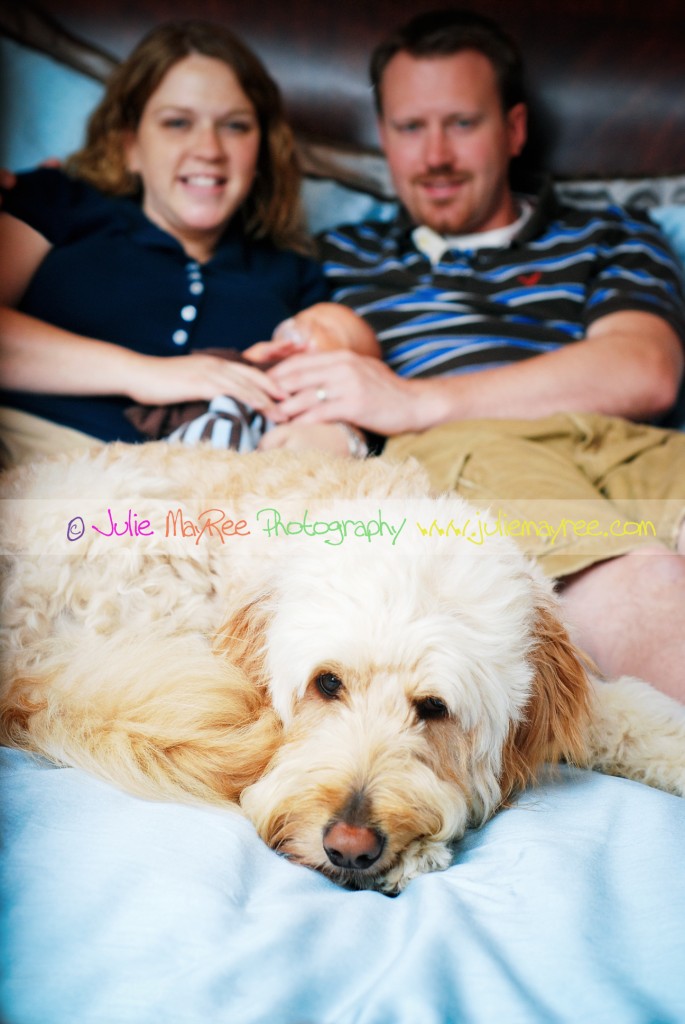 DSC_0291edwm