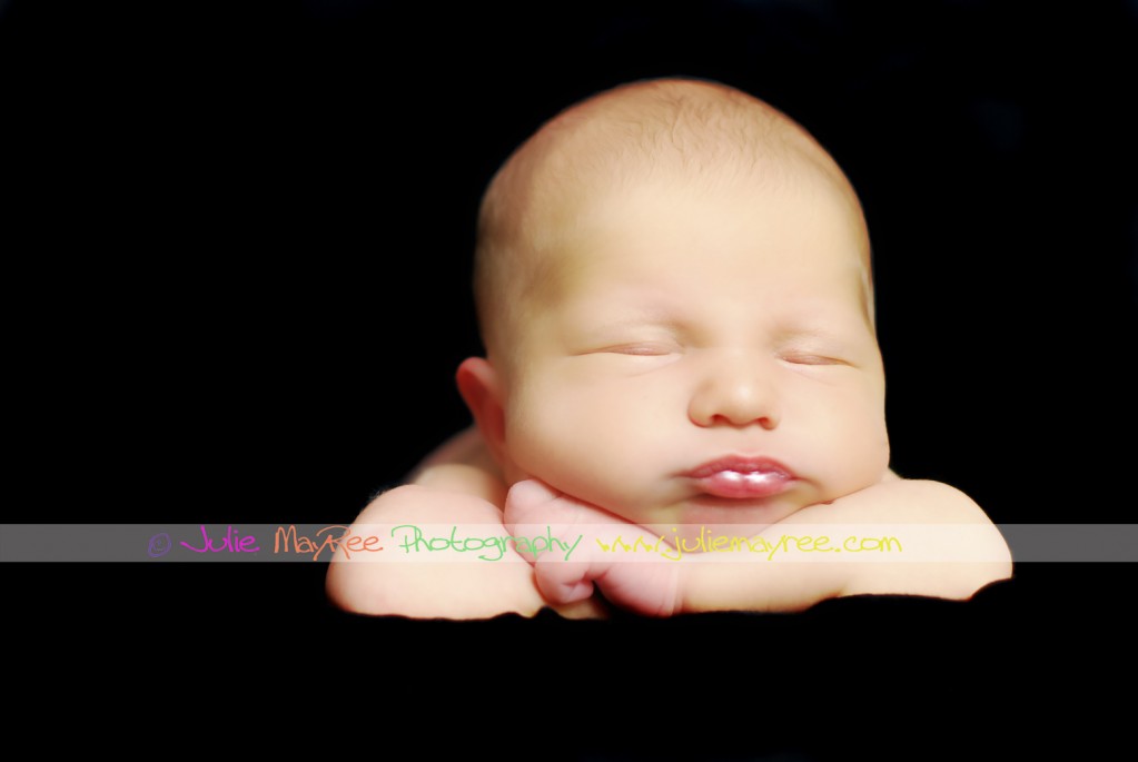 DSC_0340edWM