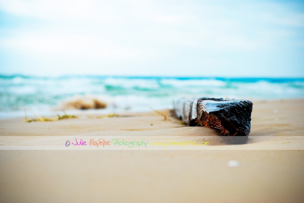 DSC_0455-Editforblog