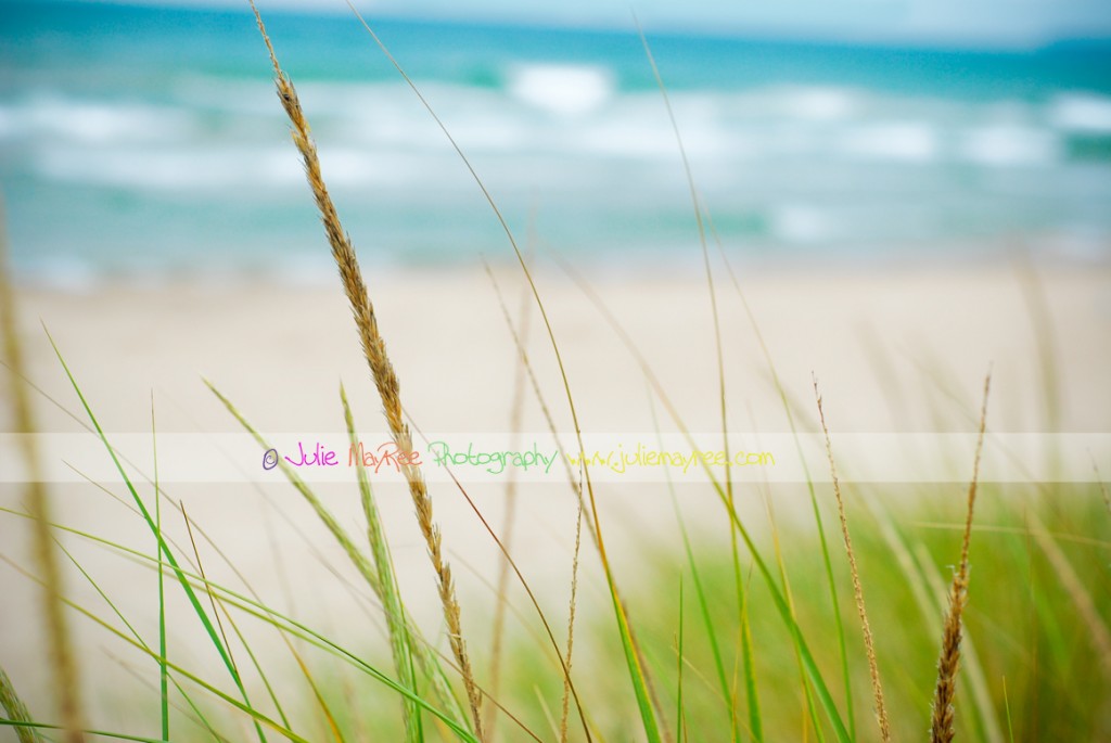 DSC_0484-Editforblog