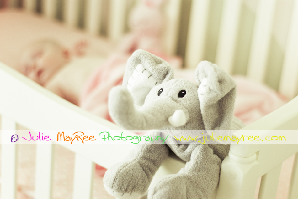 Lilly-13