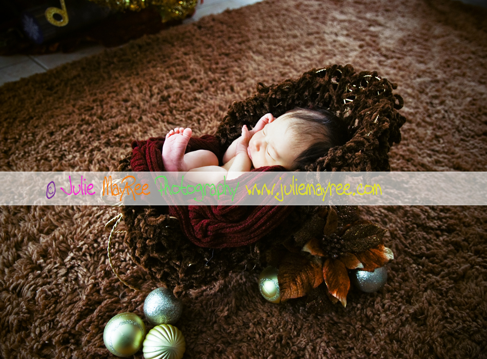 DSC_0307-Editwm DSC_0307-Editwm