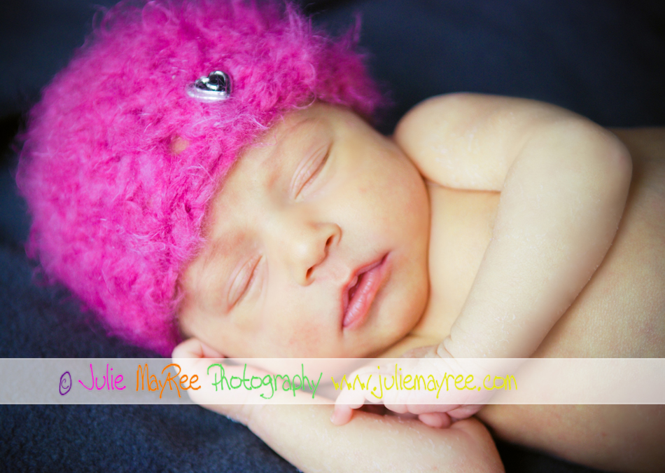 DSC_0489-Editwm DSC_0489-Editwm