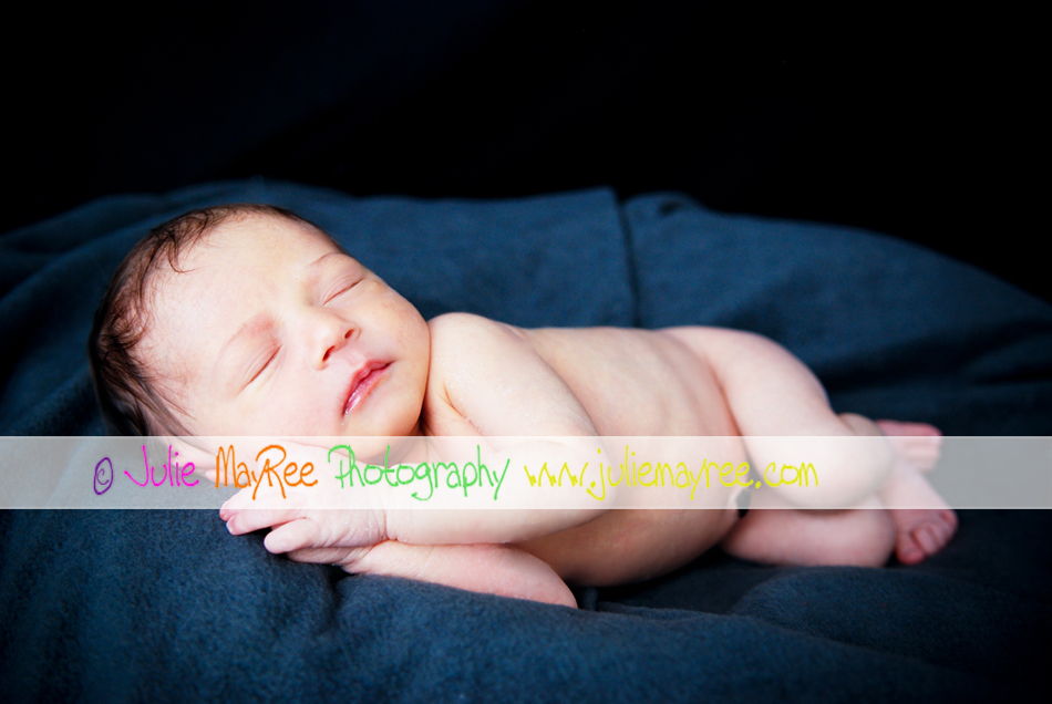 DSC_0501-Editwm DSC_0501-Editwm