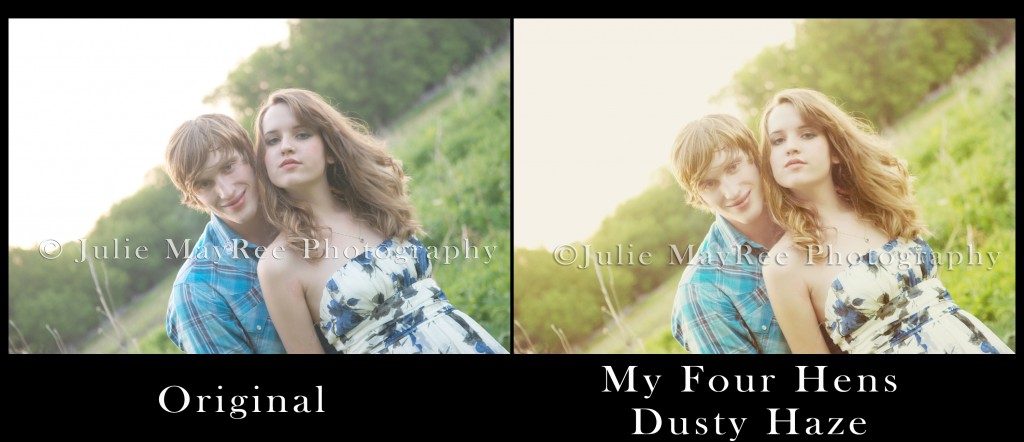 Myfourhensdusty