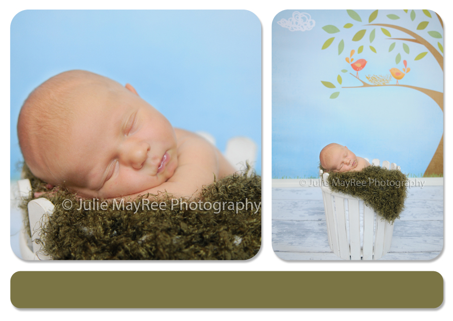 JulieMayReeBlog5